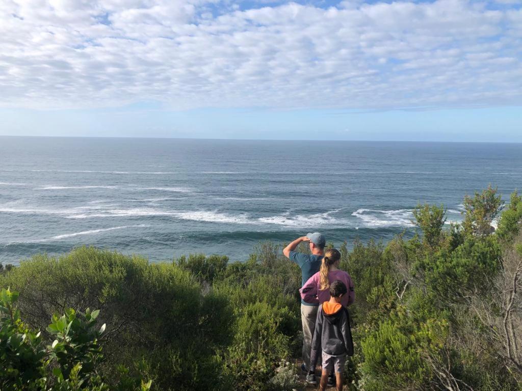 Dolphin View Villa Herolds Bay Exterior foto